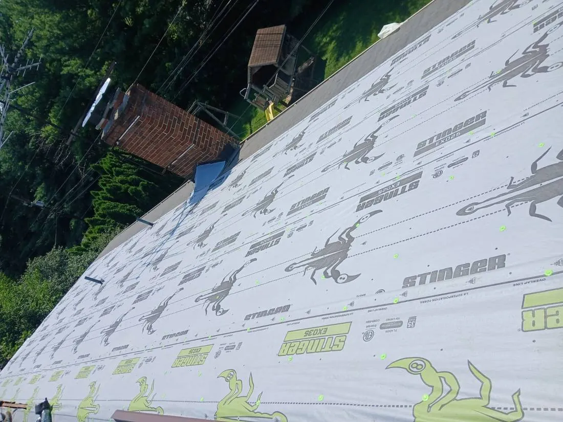 STINGER Dried-In · Allentown, PA — underlayment by Birdie Roofing